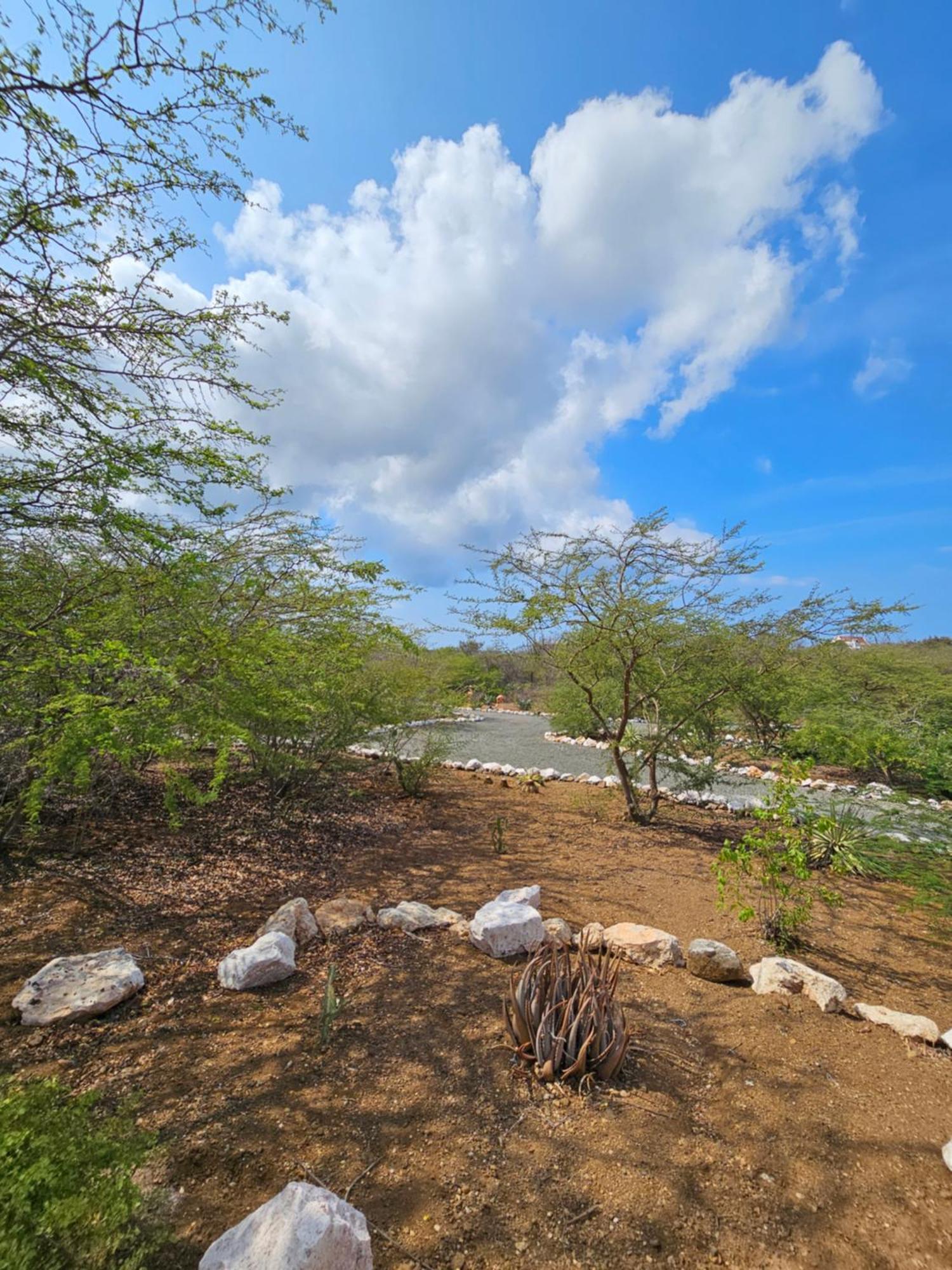 Fontein Villa San Sebastian Curacao מראה חיצוני תמונה